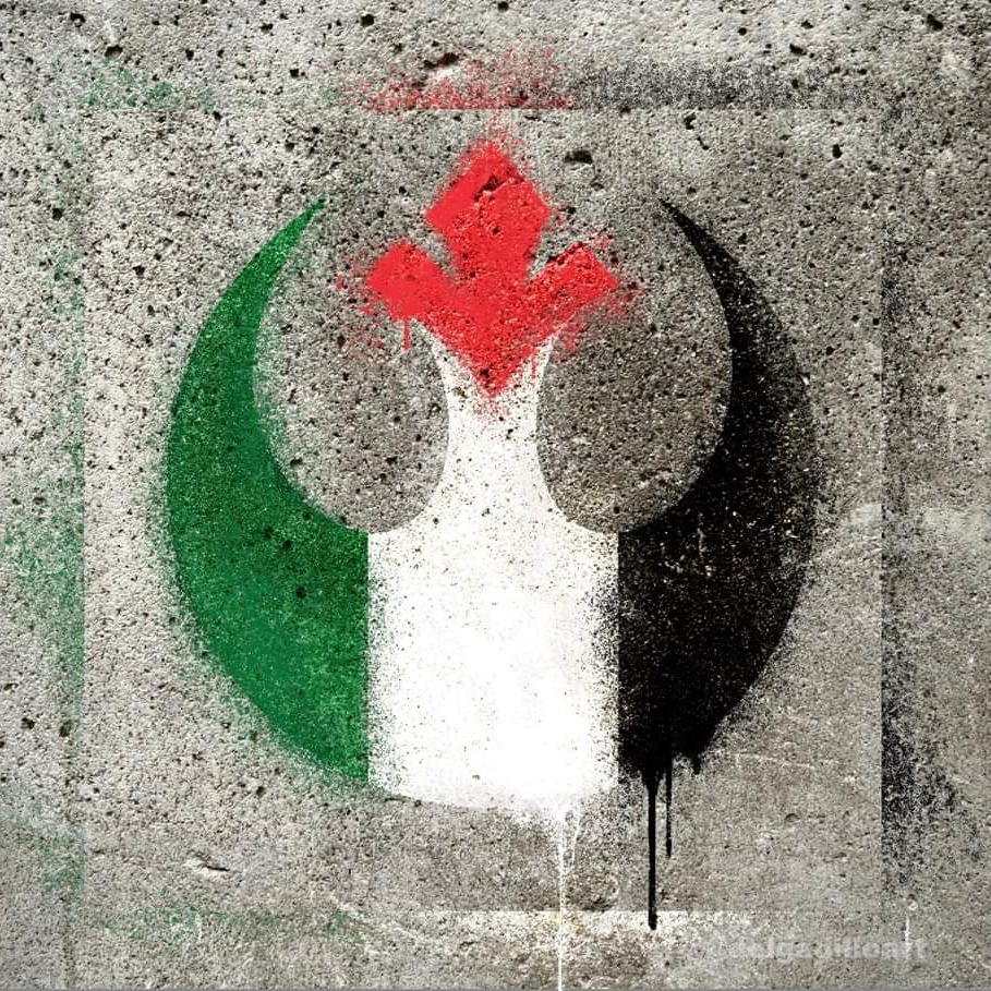 The Rebel Starbird in the colors of the Palestinian Flag